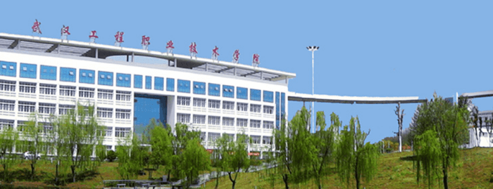 武汉工程职业技术学院高职单招,2024年高职单招成绩查询,武汉工程职业技术学院单独招生成绩