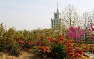 ������ҵ��ѧ��������������¼ȡ������_��������ҵ��ѧ��������2024�����챾����ǰ��B�κ�������׿Խ�Ųżƻ���������ר��ƻ���רҵ¼ȡ��ͷ�/���λ