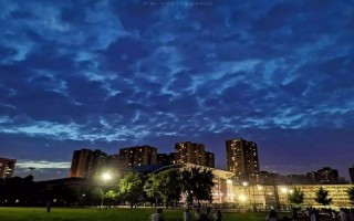 ������ѧԺ����¼ȡ������_��������ѧԺ2024���������ƶ��������������������ѧ�ص�:����ʡ����������������·����У����רҵ¼ȡ��ͷ�/���λ