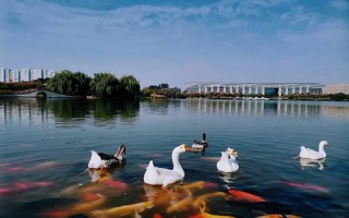 025�ο�,����ʦ��ѧԺ��ױƷ�����빤��רҵѧ��_ѧ��_�ں����������������Ʊ��ƶ���