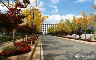 ����ҵְҵ����ѧԺ������¼ȡ������_������ҵְҵ����ѧԺ2024������ר������ҵ����רҵ¼ȡ��ͷ�/���λ