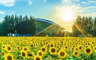 ����ҵ��ѧ������¼ȡ������_������ҵ��ѧ2024�����챾������ҵ����רҵ¼ȡ��ͷ�/���λ
