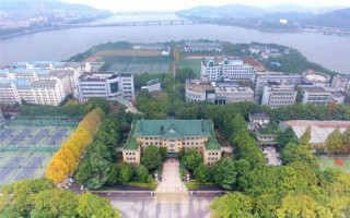 ������ѧԺ��ʷ��¼ȡ������_�人����ѧԺ2024�����챾�����������������רҵ¼ȡ��ͷ�/���λ