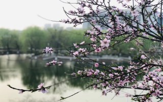 ���Ƽ���ѧ������¼ȡ������_�ӱ��Ƽ���ѧ2024��ӱ����������ӷ�װ����רҵ¼ȡ��ͷ�/���λ