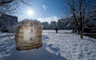 025�걱����ͨ��ѧ���ײ����뼼�������������ѧ��������ԺУΪ���ô���¬��ѧ��ɫä��ɫ���߲��ˣ�������:���ޣ�רҵѧ���Ƕ��٣��ڱ����ۺϱ����������ƻ��Ƕ���