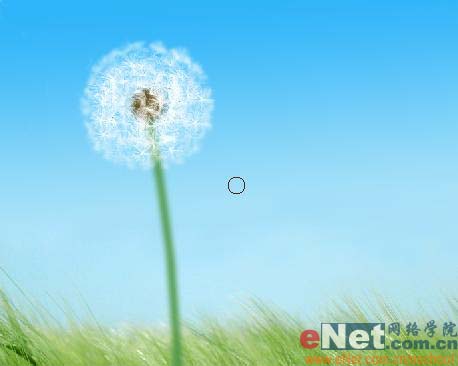 ps鼠绘教程,ps手绘教程