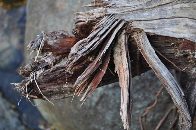 ps文字特效教程