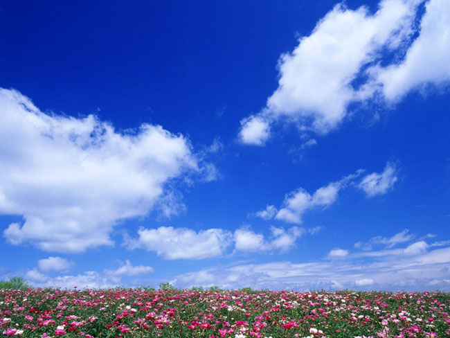 ps图片制作教程