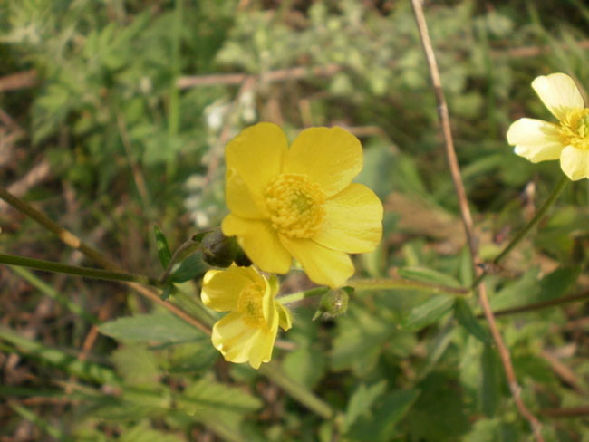 ps图片制作教程