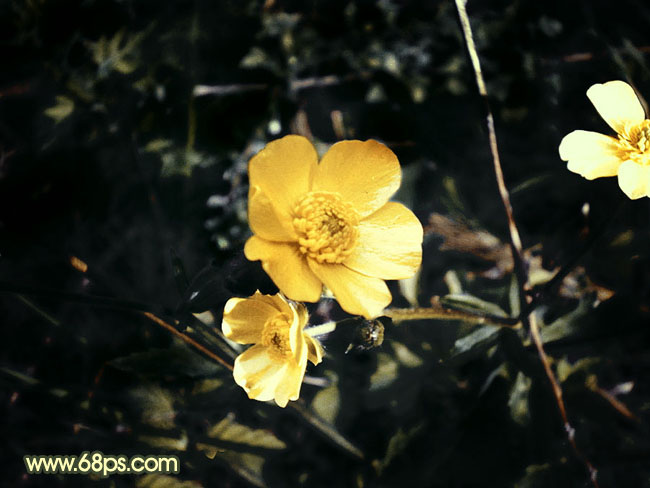 ps图片制作教程