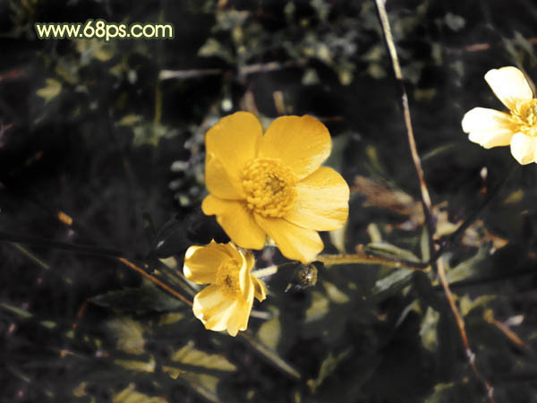 ps图片制作教程