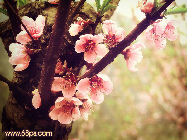 ps图片制作教程