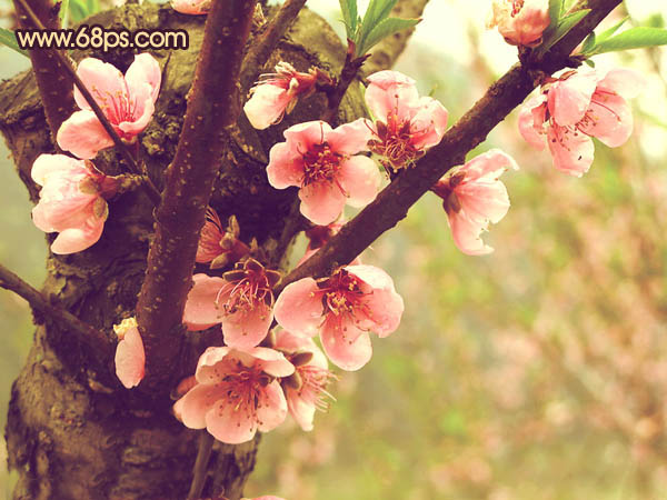 ps图片制作教程