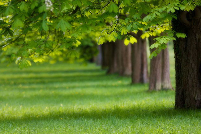ps图片制作教程