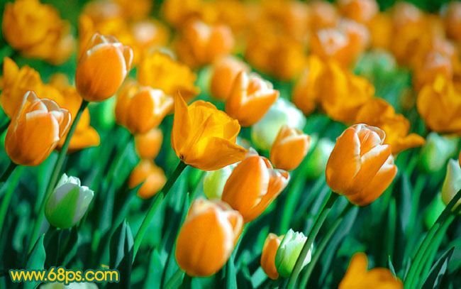 ps图片制作教程