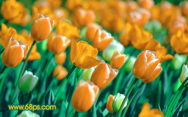 ps图片制作教程