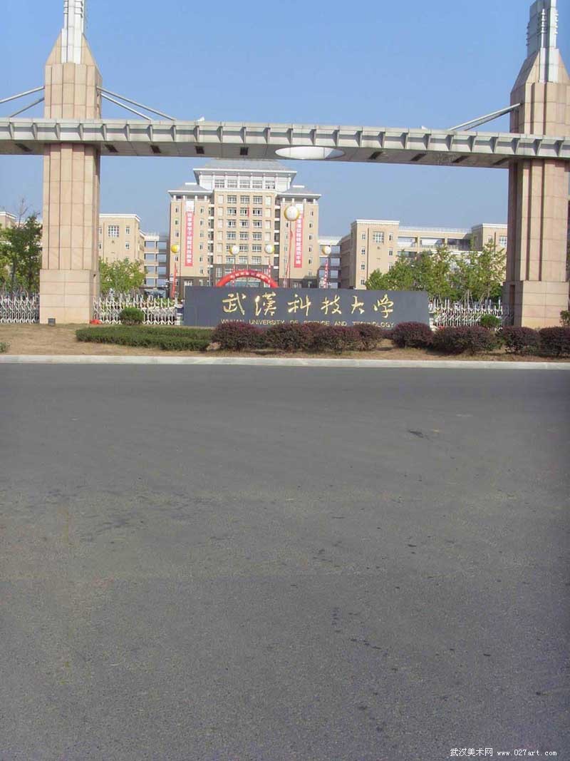 武汉科技大学