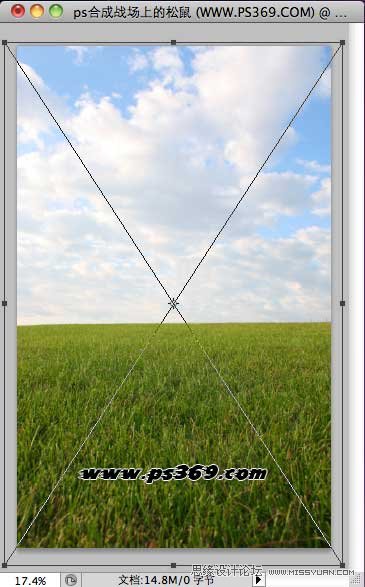 Photoshop创意合成战场上的松鼠教程,PS教程,思缘教程网