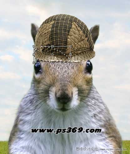 Photoshop创意合成战场上的松鼠教程,PS教程,思缘教程网