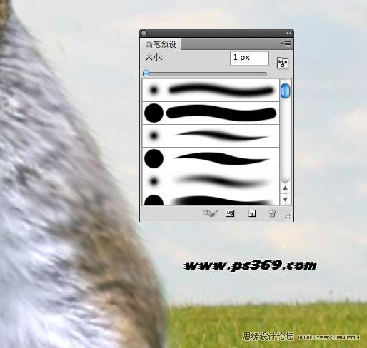 Photoshop创意合成战场上的松鼠教程,PS教程,思缘教程网
