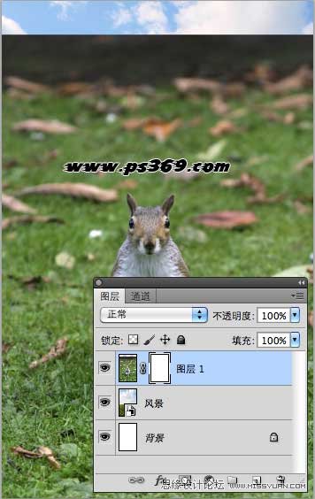 Photoshop创意合成战场上的松鼠教程,PS教程,思缘教程网