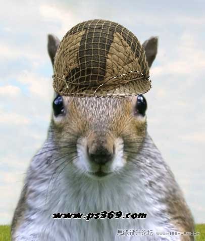Photoshop创意合成战场上的松鼠教程,PS教程,思缘教程网