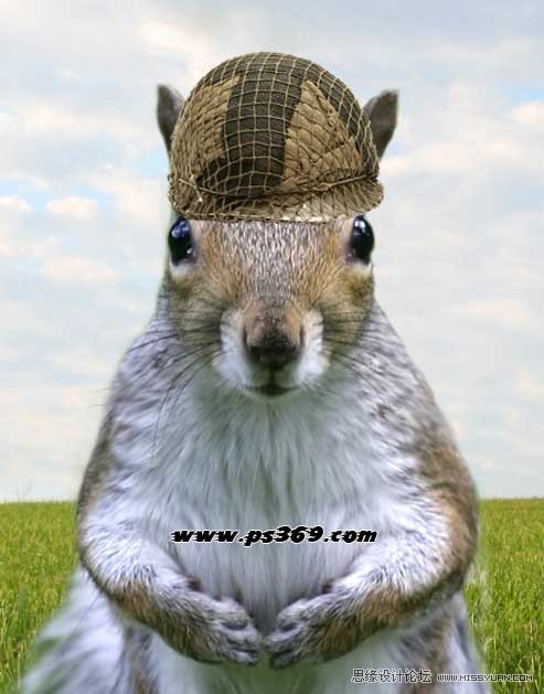 Photoshop创意合成战场上的松鼠教程,PS教程,思缘教程网