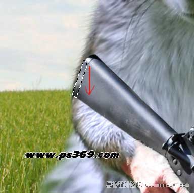 Photoshop创意合成战场上的松鼠教程,PS教程,思缘教程网