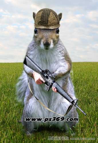 Photoshop创意合成战场上的松鼠教程,PS教程,思缘教程网