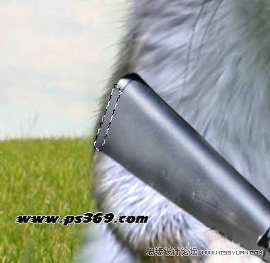 Photoshop创意合成战场上的松鼠教程,PS教程,思缘教程网