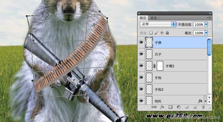 Photoshop创意合成战场上的松鼠教程,PS教程,思缘教程网