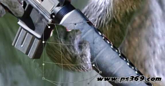 Photoshop创意合成战场上的松鼠教程,PS教程,思缘教程网