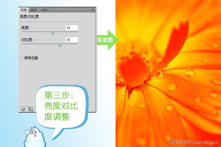 Photoshop简单调出创意的花卉效果,PS教程,思缘教程网