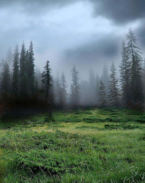 PS合成森林仙子