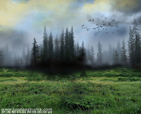 PS合成森林仙子