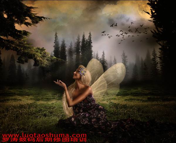 PS合成森林仙子