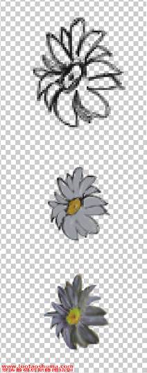 PS合成森林仙子