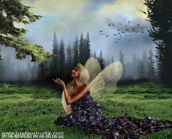 PS合成森林仙子