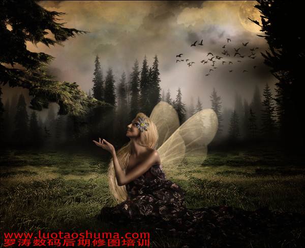 PS合成森林仙子