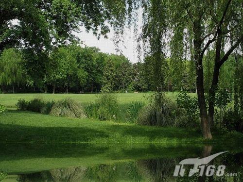 3dsMax快速制作池塘倒影效果 晶莹通透水晶球