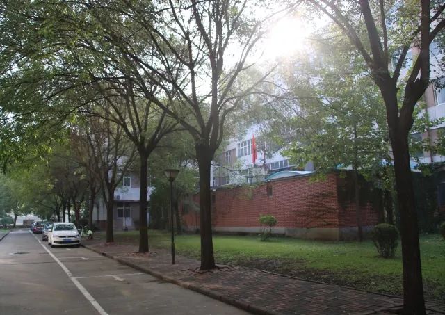 河北科技大学理工学院