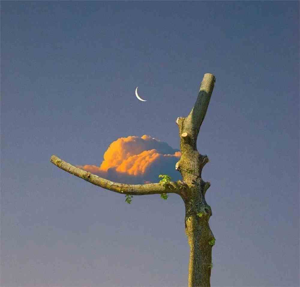 北京电影学院现代创意媒体学院