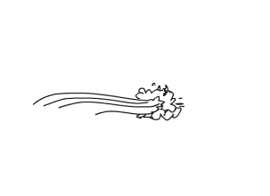 南开大学滨海学院