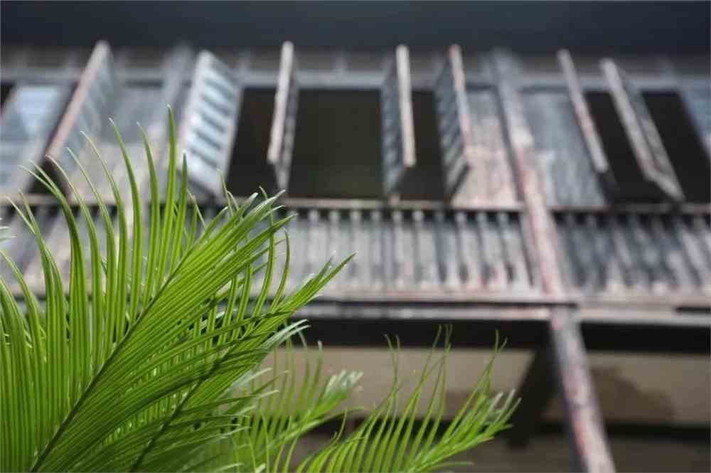 IMG_9407.JPG 湖北中医药大学