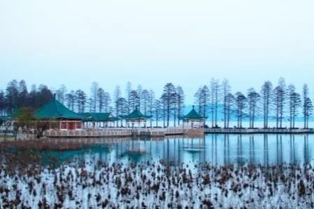 湖北中医药大学