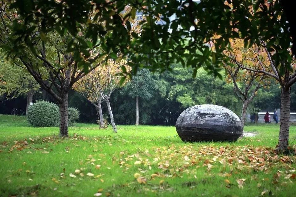 IMG_9420.JPG 湖北中医药大学