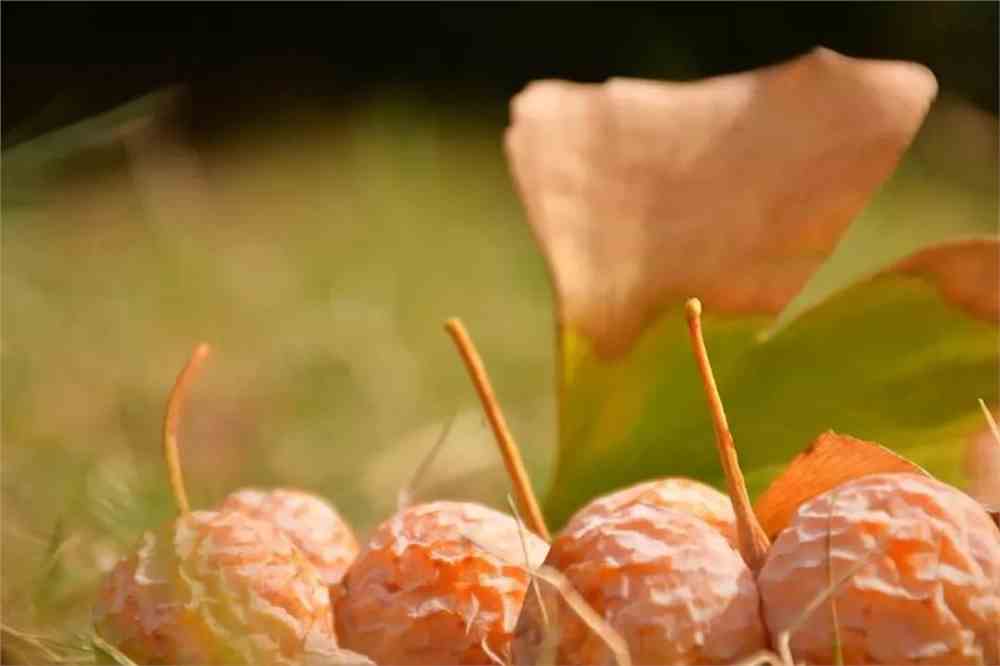 IMG_9429.JPG 湖北中医药大学