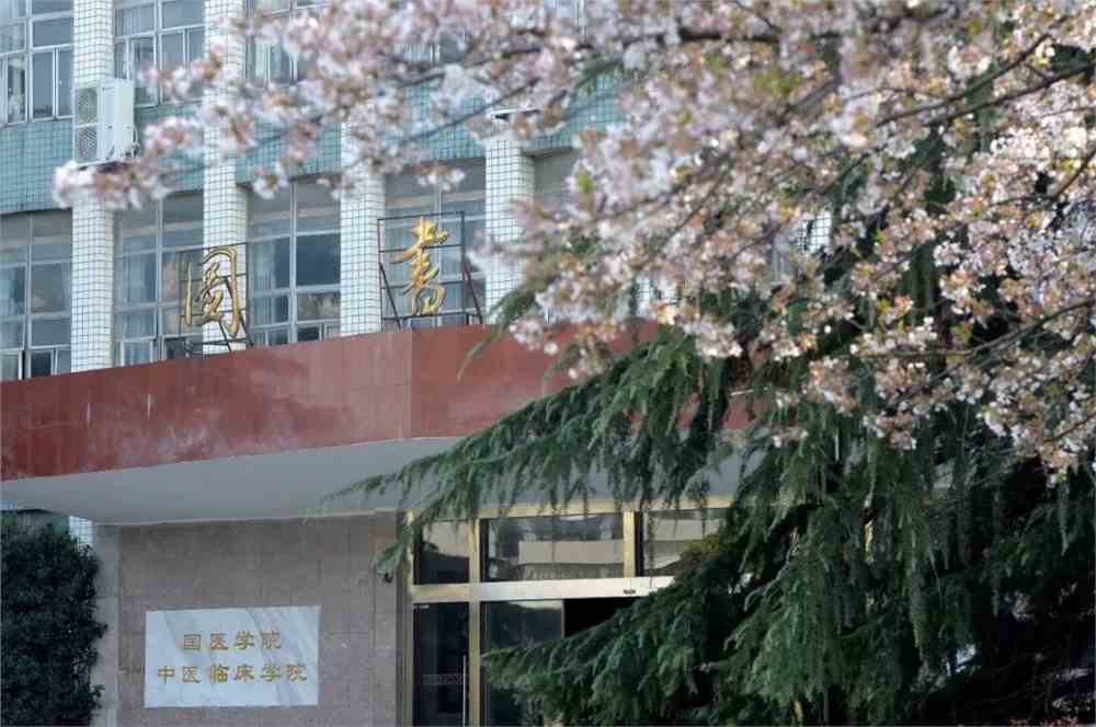 IMG_9400.JPG 湖北中医药大学