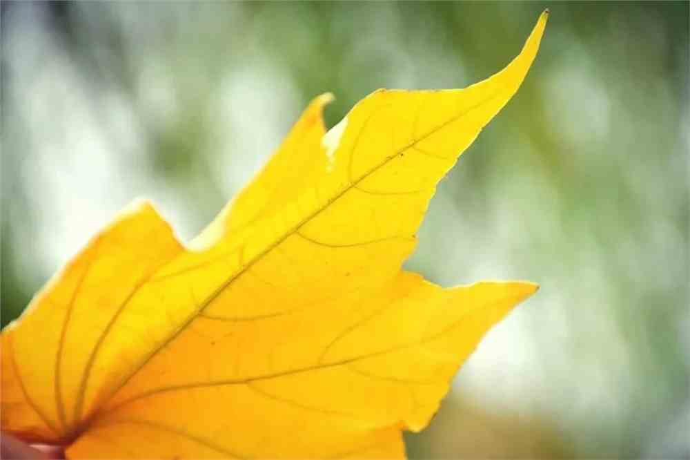 IMG_9428.JPG 湖北中医药大学