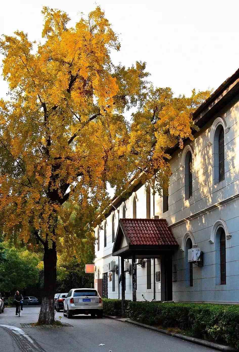 IMG_9418.JPG 湖北中医药大学